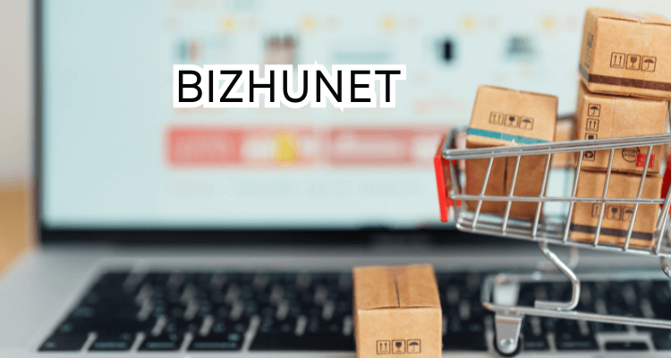 Exploring Bizhunet: A Comprehensive Overview