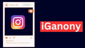 What is IgAnony?