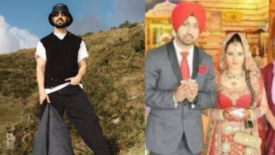 Who Is Diljit Dosanjh's American-Indo Wife?