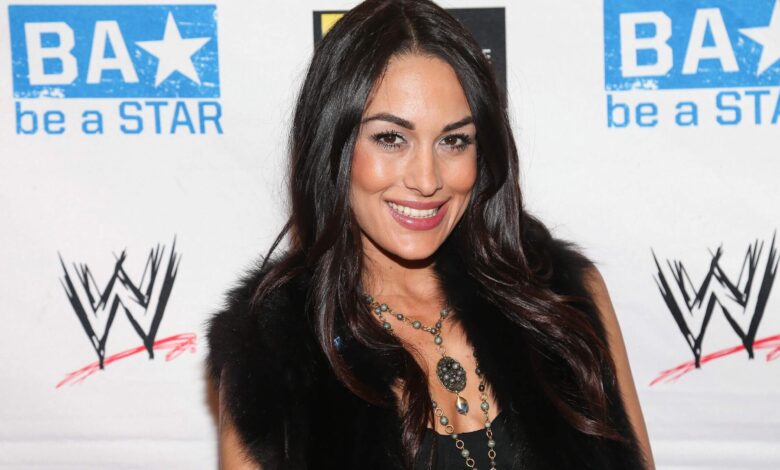 Who is Brie Bella? Wiki, Bio, Age, Height, Career, Net Worth