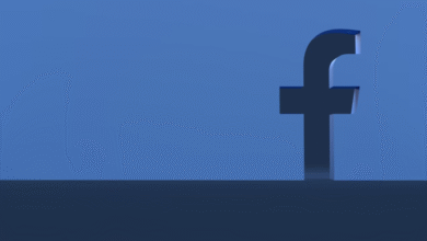 Should I Transition from Facebook Ads to TikTok?