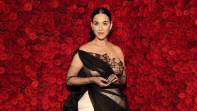 Who Is Katy Perry? – Bio, Wiki, Stats & More