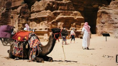 Get Your Saudi Travel Visa Approved With Our Easy Guide